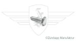 Hexagon head screw